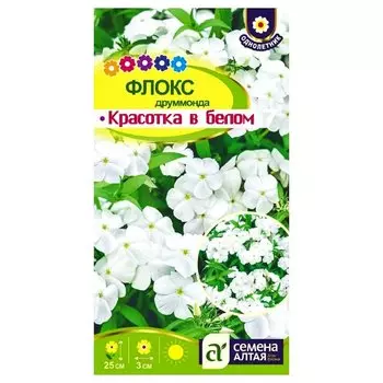 Флокс Друммонда Красотка в белом Семена Алтая