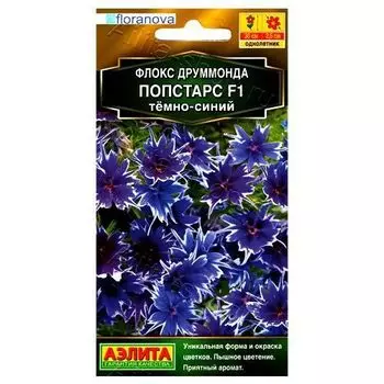 Флокс Друммонда Попстарс F1 темно-синий Аэлита