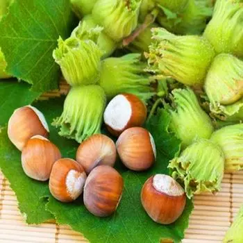 Фундук Шедевр