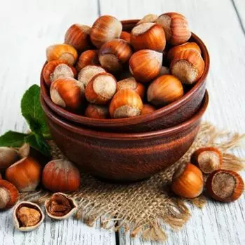 Фундук Трапезунд