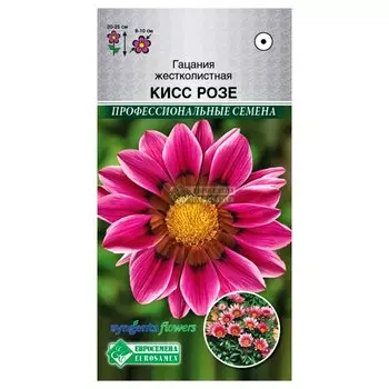 Гацания Кисс Розе Евросемена