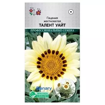 Гацания Талент Уайт Евросемена