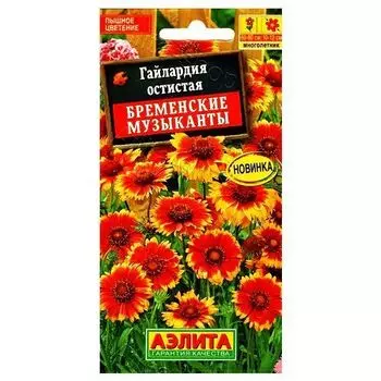 Гайлардия Бременские музыканты Аэлита