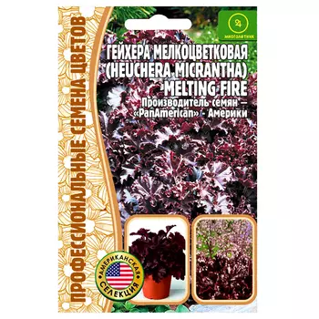 Гейхера американская мелкоцветковая Melting Fire Редкие семена