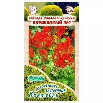 Гейхера кроваво-красная Коралловый лес Евросемена