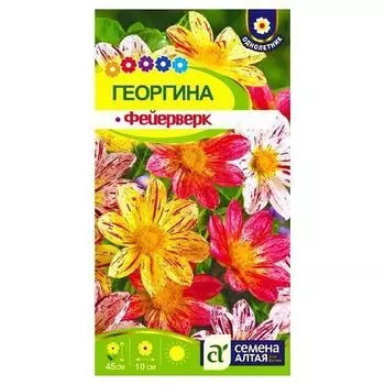 Георгина Фейерверк, смесь окрасок Семена Алтая