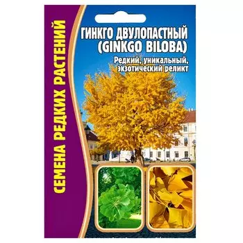 Гинкго двулопастный Редкие семена