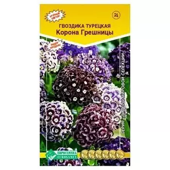 Гвоздика турецкая Корона грешницы, смесь окрасок Евросемена