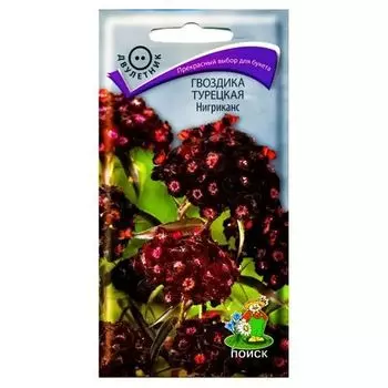 Гвоздика турецкая Нигриканс Поиск
