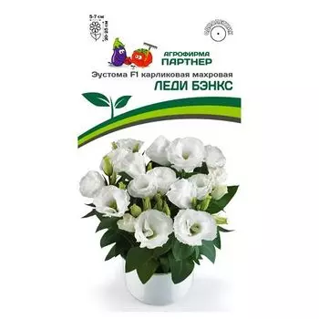 Эустома карликовая махровая Леди Бэнкс F1 Партнер