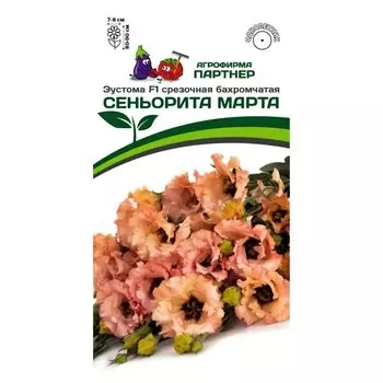 Эустома срезочная бахромчатая Сеньорита Марта F1 Партнер