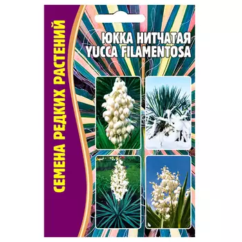 Юкка нитчатая Редкие семена