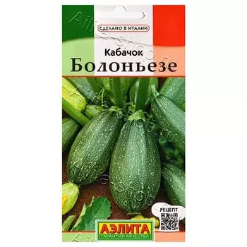 Кабачок Болоньезе Аэлита