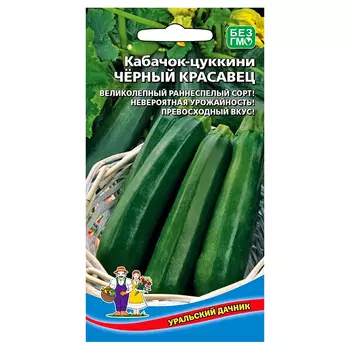 Кабачок цукини Черный красавец Уральский дачник