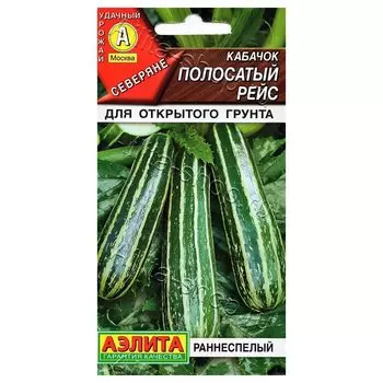 Кабачок Полосатый рейс Аэлита