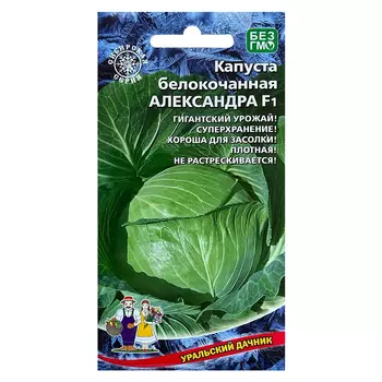 Капуста белокочанная Александра F1 Уральский дачник