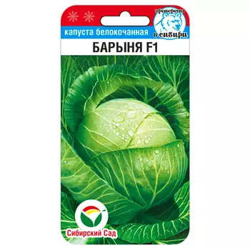 Капуста белокочанная Барыня F1 Сибирский сад