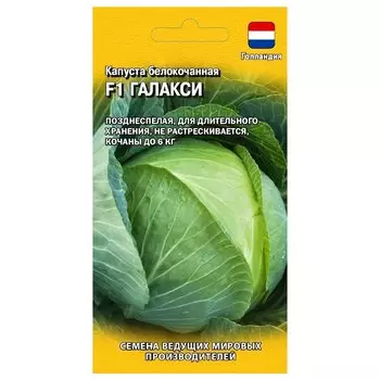 Капуста белокочанная Галакси F1 Гавриш