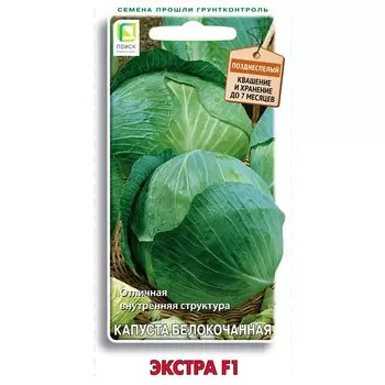 Капуста белокочанная Экстра F1 Поиск