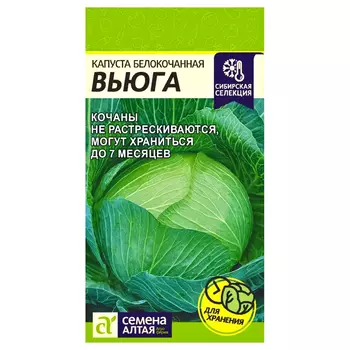 Капуста белокочанная Вьюга Семена Алтая