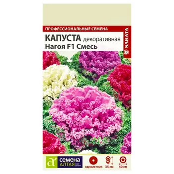 Капуста декоративная Нагоя F1, смесь окрасок Семена Алтая