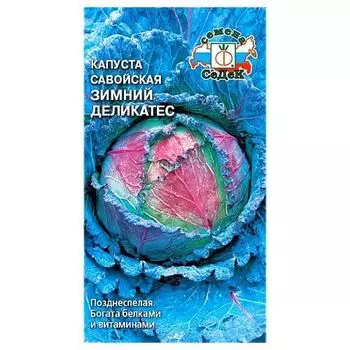 Капуста савойская Зимний деликатес Седек