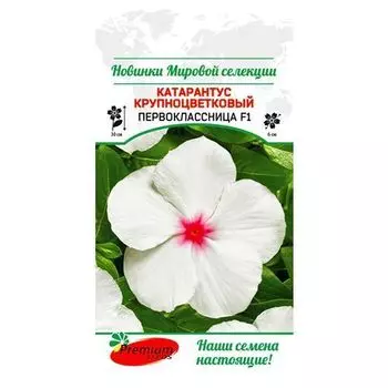 Катарантус Первоклассница F1 Premium Seeds