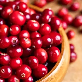 Клюква крупноплодная сладкая Ред Стар