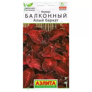 Колеус балконный Алый бархат Аэлита