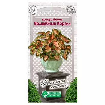 Колеус Блюме Волшебный коралл Евросемена