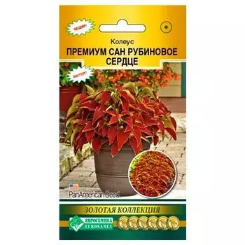 Колеус Премиум Сан Рубиновое сердце Евросемена