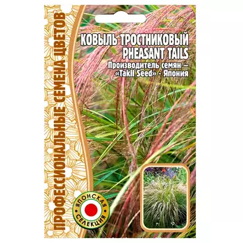 Ковыль тростниковый Pheasant Tails Редкие семена