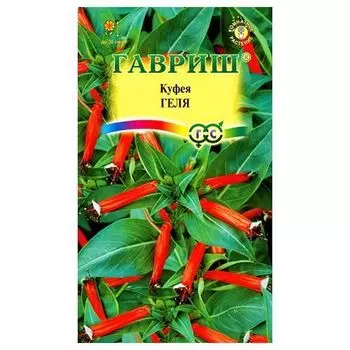 Куфея Геля Гавриш