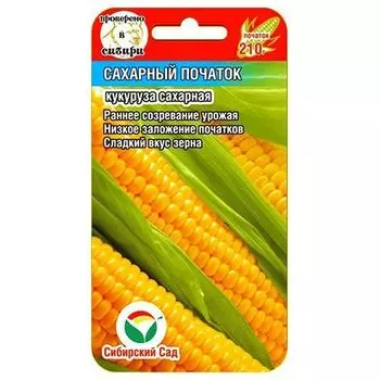 Кукуруза Сахарный початок Сибирский сад