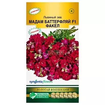 Львиный зев Мадам Баттерфляй Факел F1 Евросемена