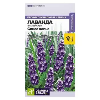 Лаванда английская Синее копье Семена Алтая