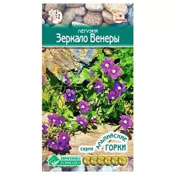 Легузия Зеркало Венеры Евросемена