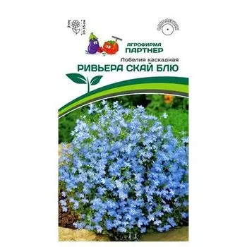 Лобелия каскадная Ривьера Скай Блю Партнер