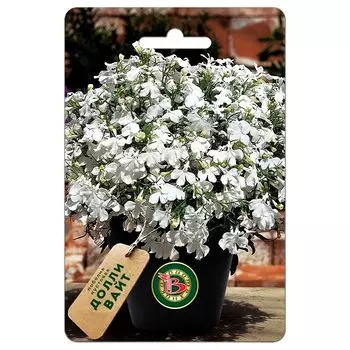 Лобелия кустовая Долли Вайт Биотехника