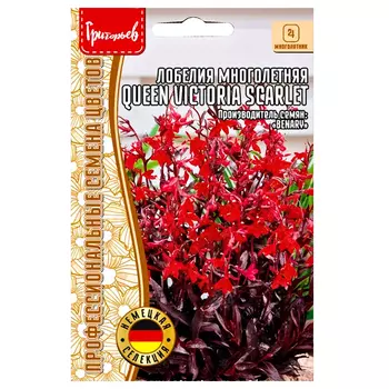 Лобелия многолетняя Queen Victoria Scarlet Редкие семена