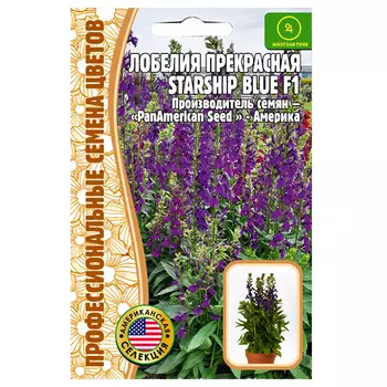 Лобелия прекрасная Starship Blue Редкие семена