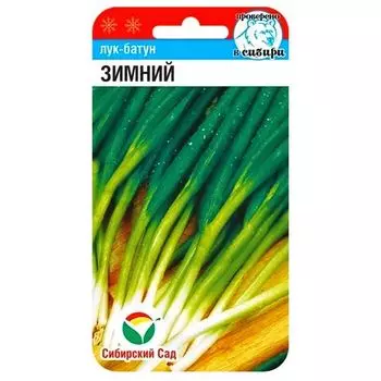 Лук батун Зимний Сибирский сад