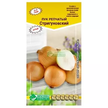 Лук репчатый Стригуновский Евросемена