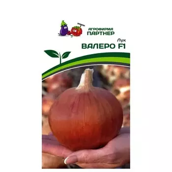 Лук репчатый Валеро F1 Партнер