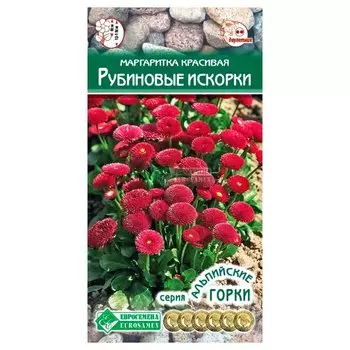 Маргаритка Рубиновые искорки Евросемена