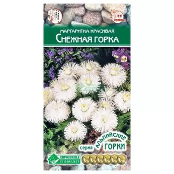Маргаритка Снежная горка Евросемена
