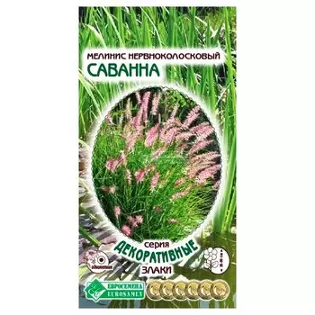 Мелинис Саванна Евросемена