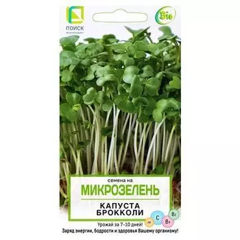 Микрозелень Капуста брокколи Поиск