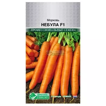 Морковь Небула F1 Евросемена