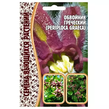 Обвойник греческий Редкие семена